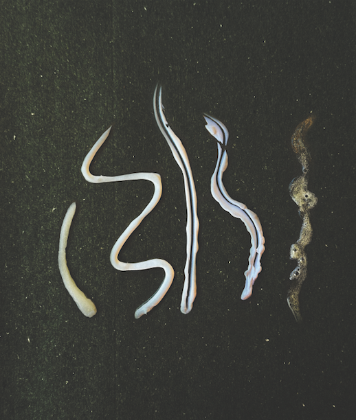 The Living Beauty Matchmaking Service: Cleanser Edition