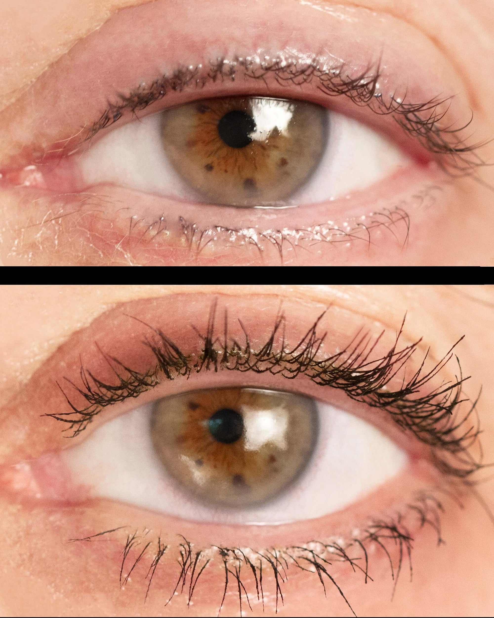 Lash Tint Mascara - Living Beauty