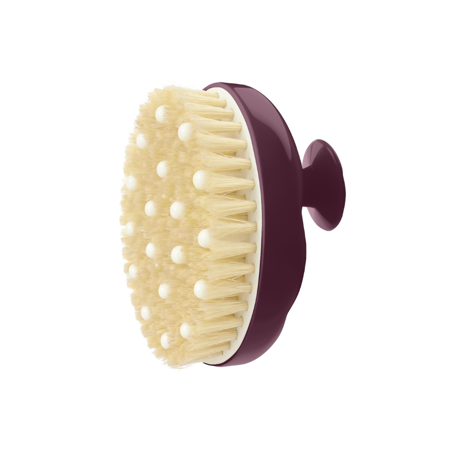 La Bonne Brosse - N.02 Body Brush for Normal Skin - Aubergine