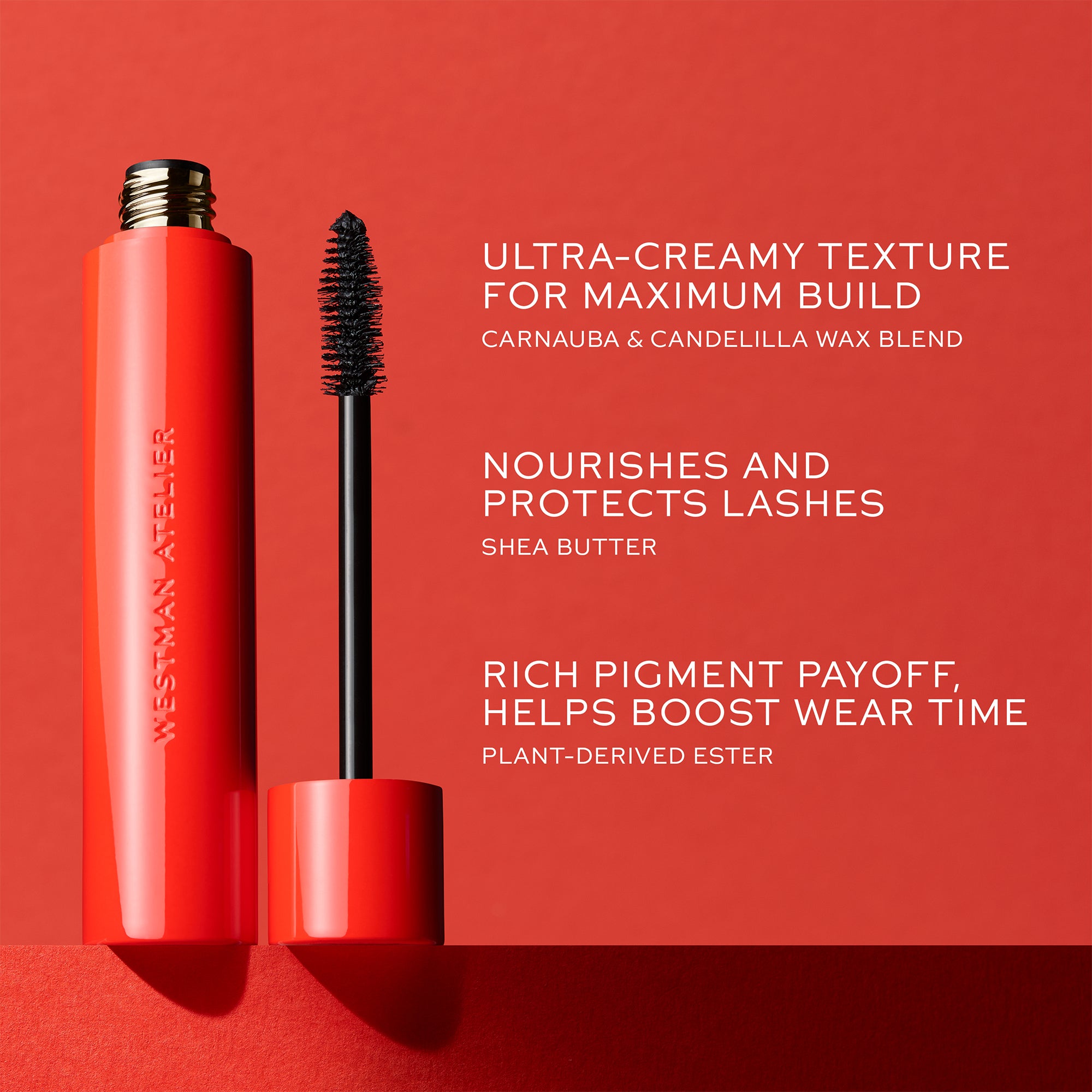 Westman Atelier - Petite Eye Want You Mascara
