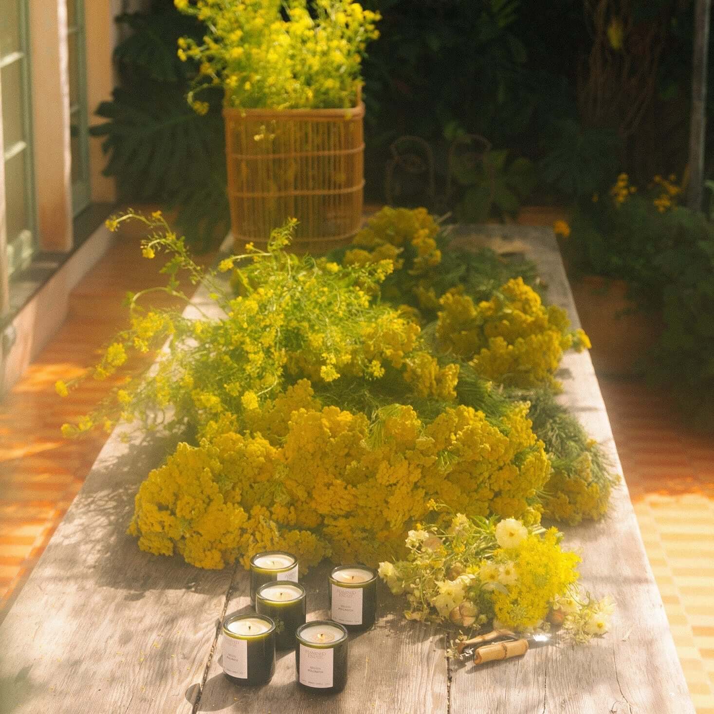 Flamingo Estate - Golden Pollinator Candle