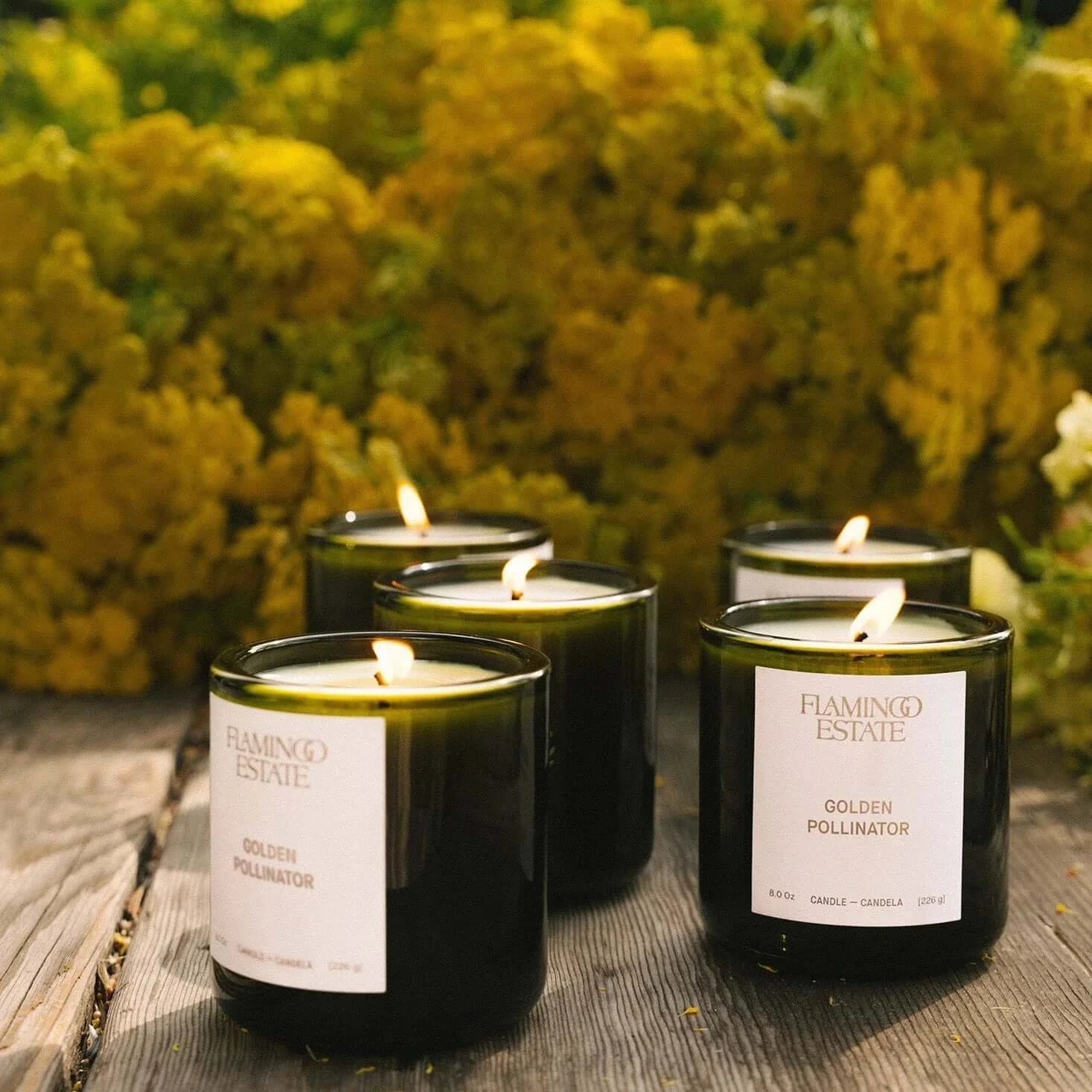 Flamingo Estate - Golden Pollinator Candle
