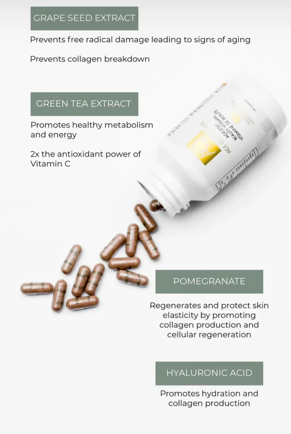 Ageless Antioxidant Vitamin - Living Beauty