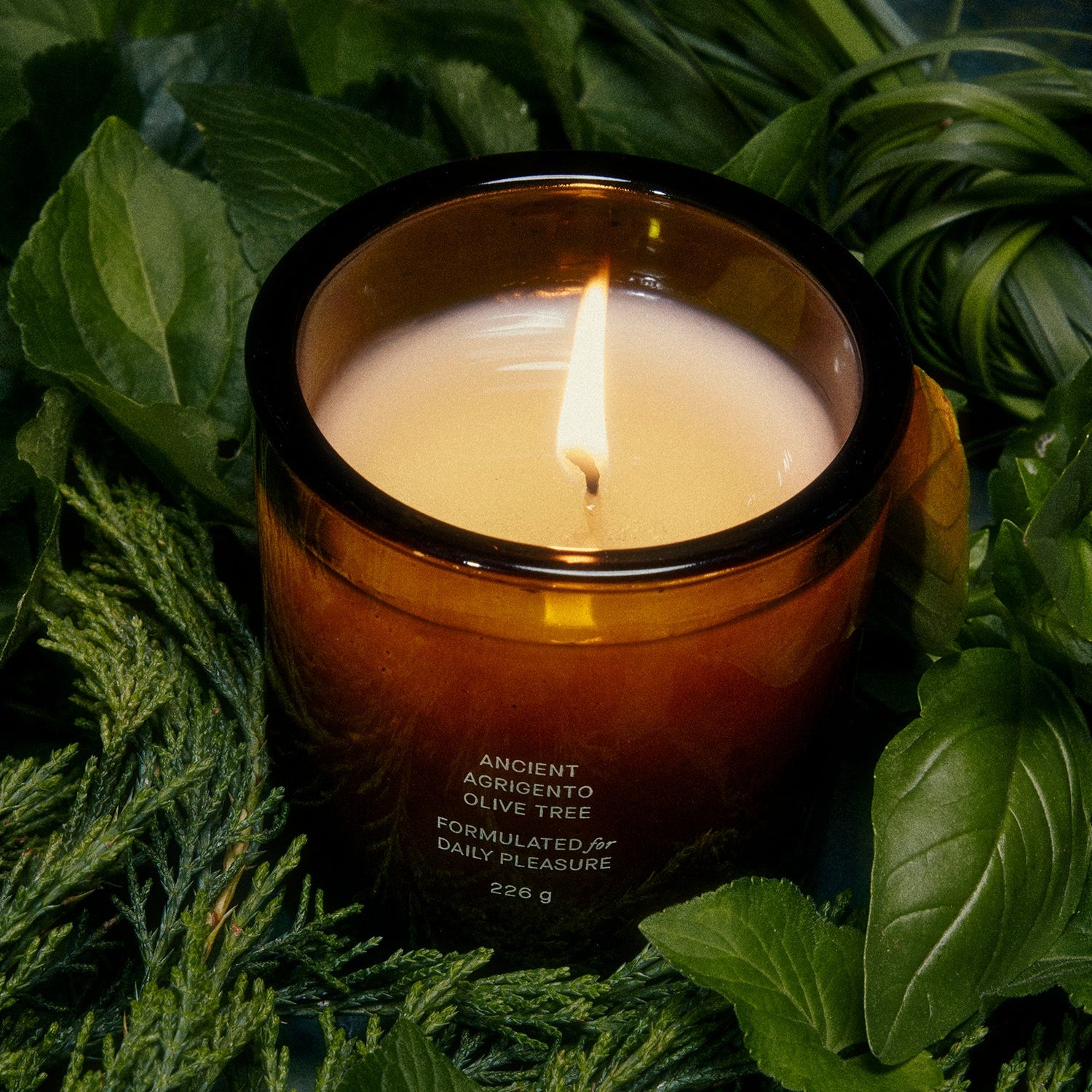 Ancient Agrigento Olive Tree Candle - Living Beauty