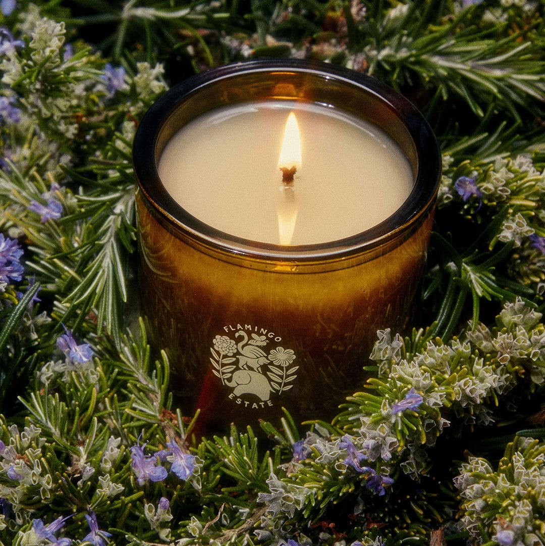 Climbing Tuscan Rosemary Candle - Living Beauty