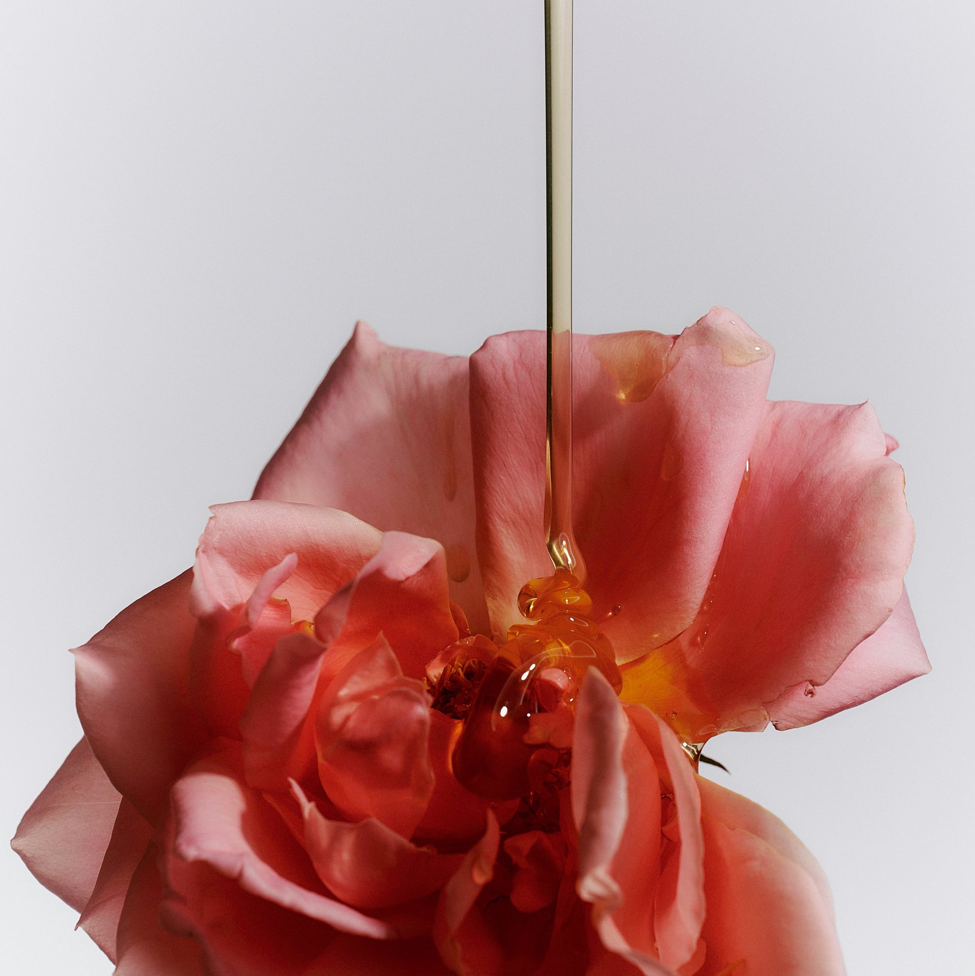 Euphoria Hand Soap - Living Beauty