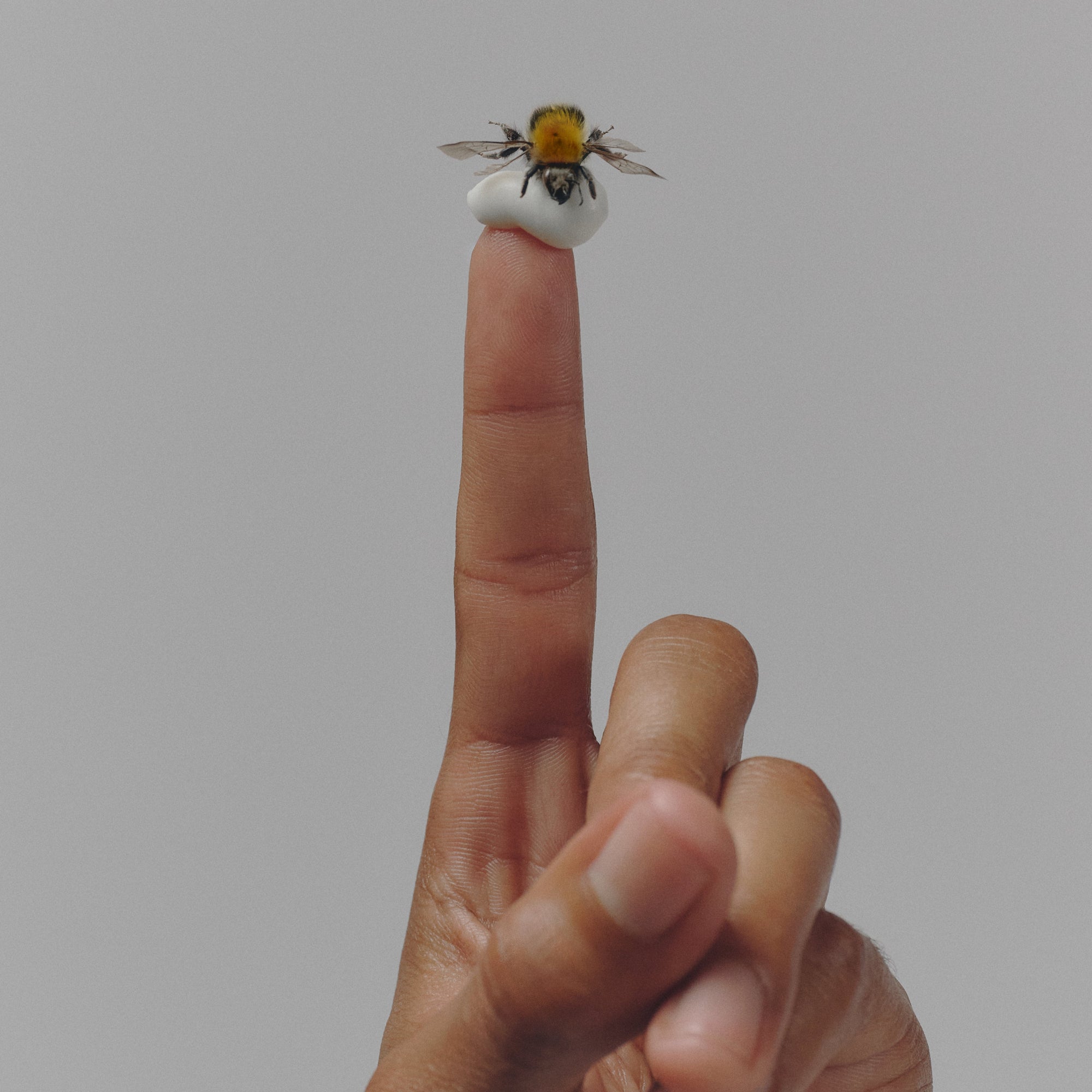 Manuka Rich Cream - Living Beauty