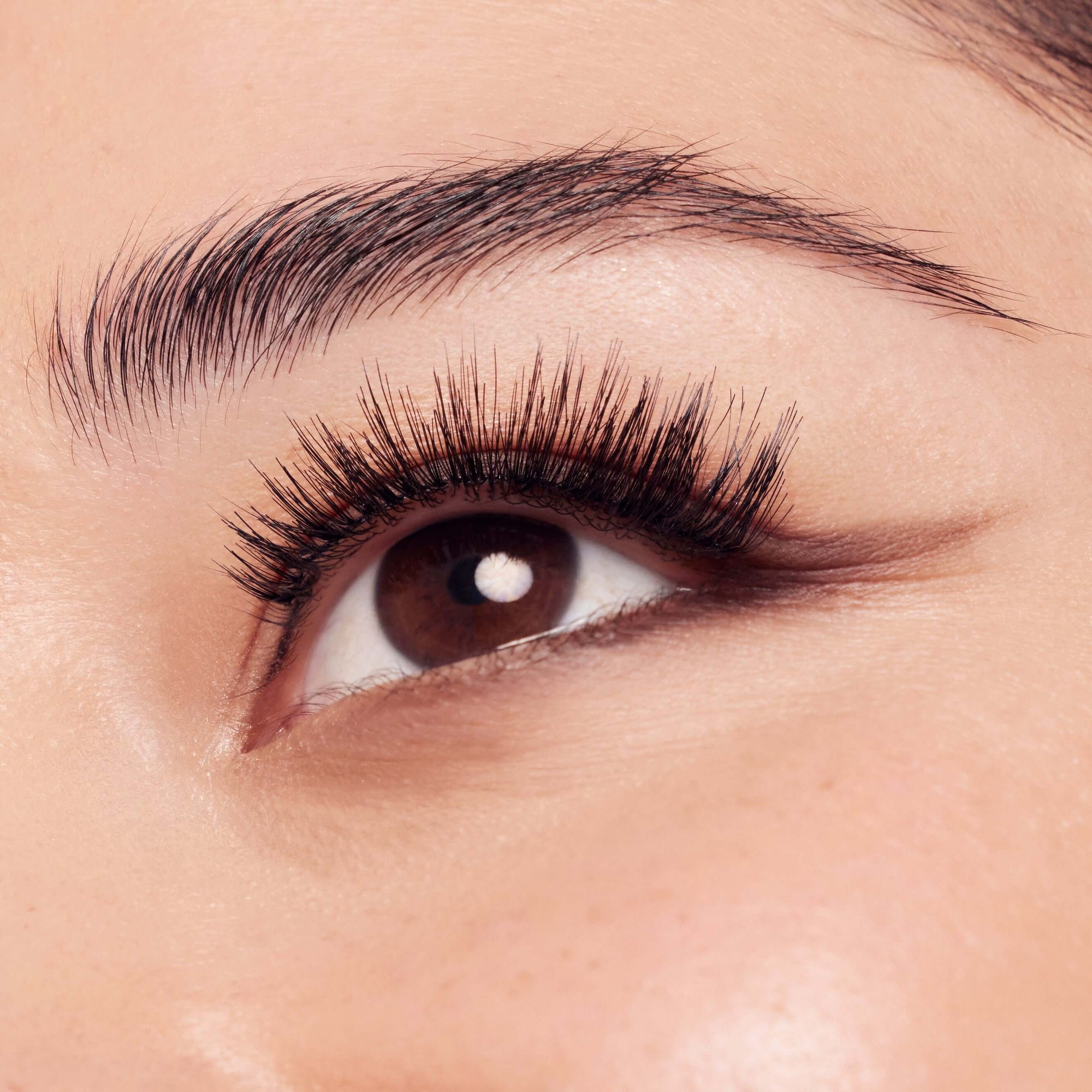 ETTA - Living Beauty