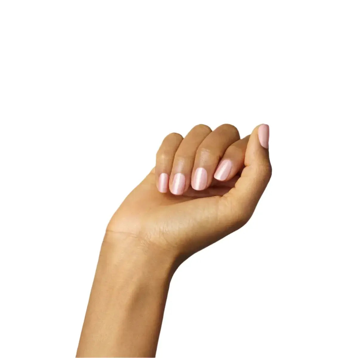 Green - Carnation - Living Beauty