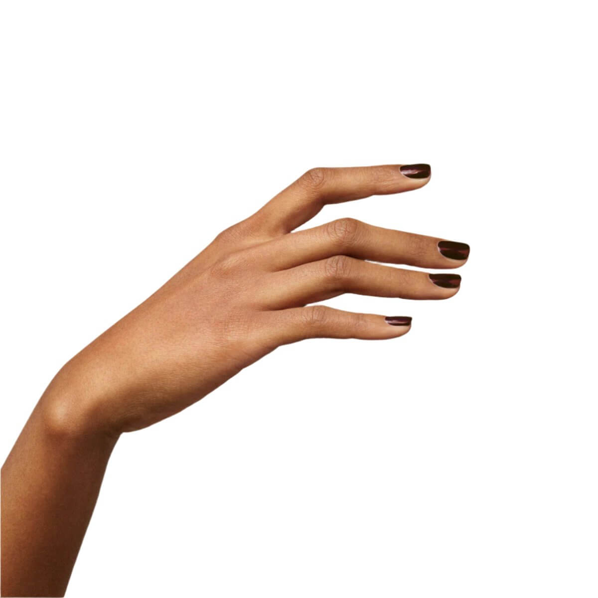 Green - Hollyhock - Living Beauty