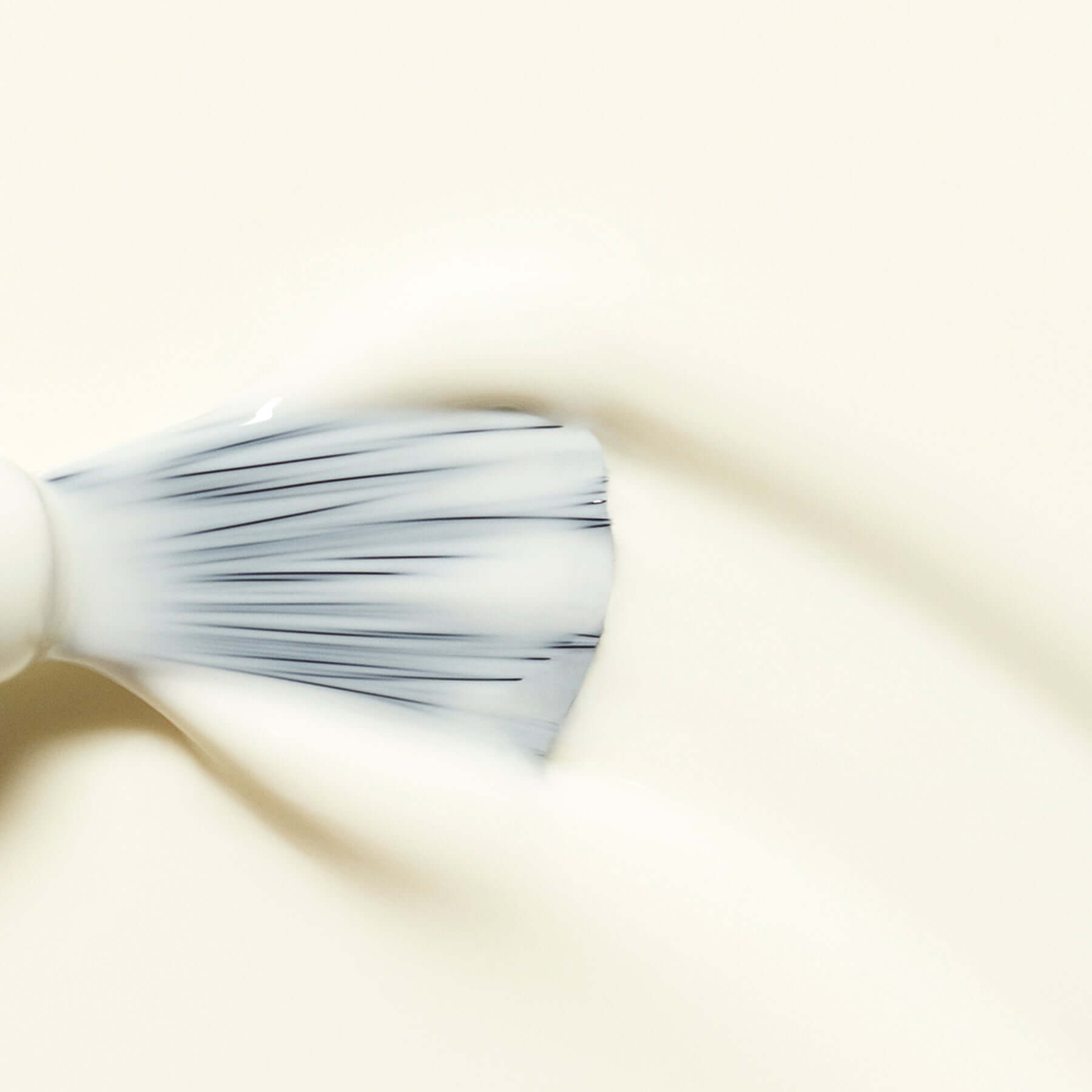 Green - Porcelaine - Living Beauty