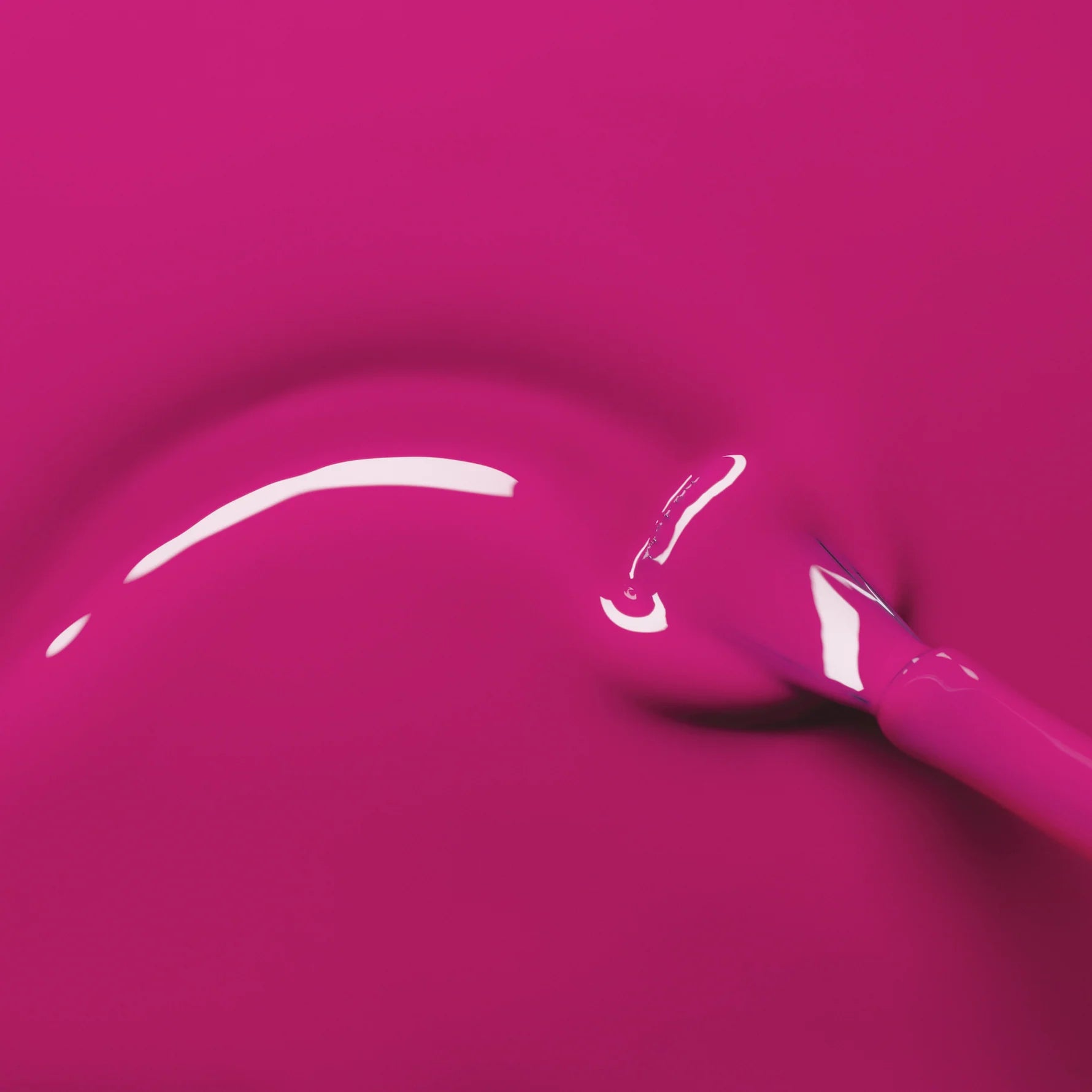 Green - Armeria - Living Beauty