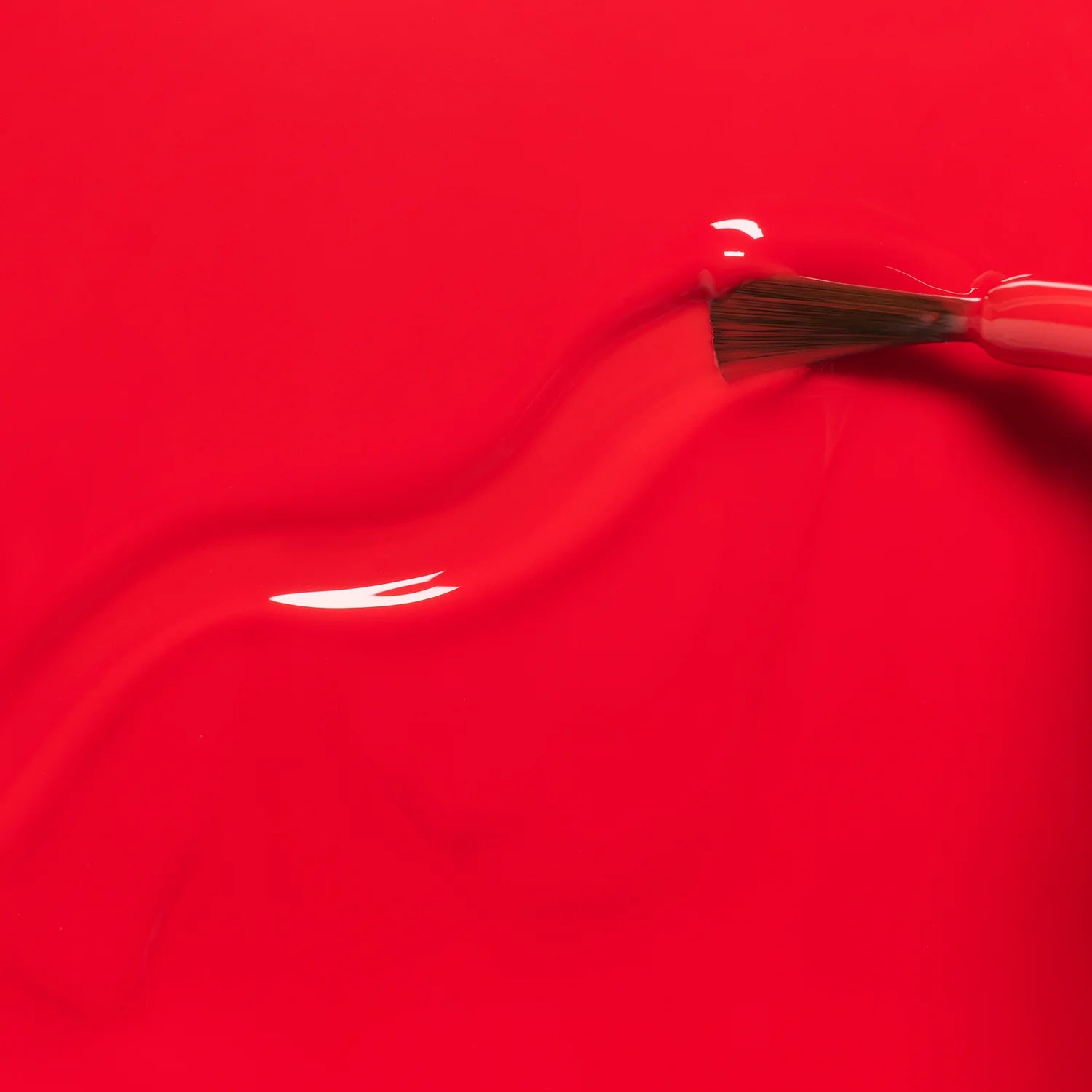 Barbidur - Living Beauty