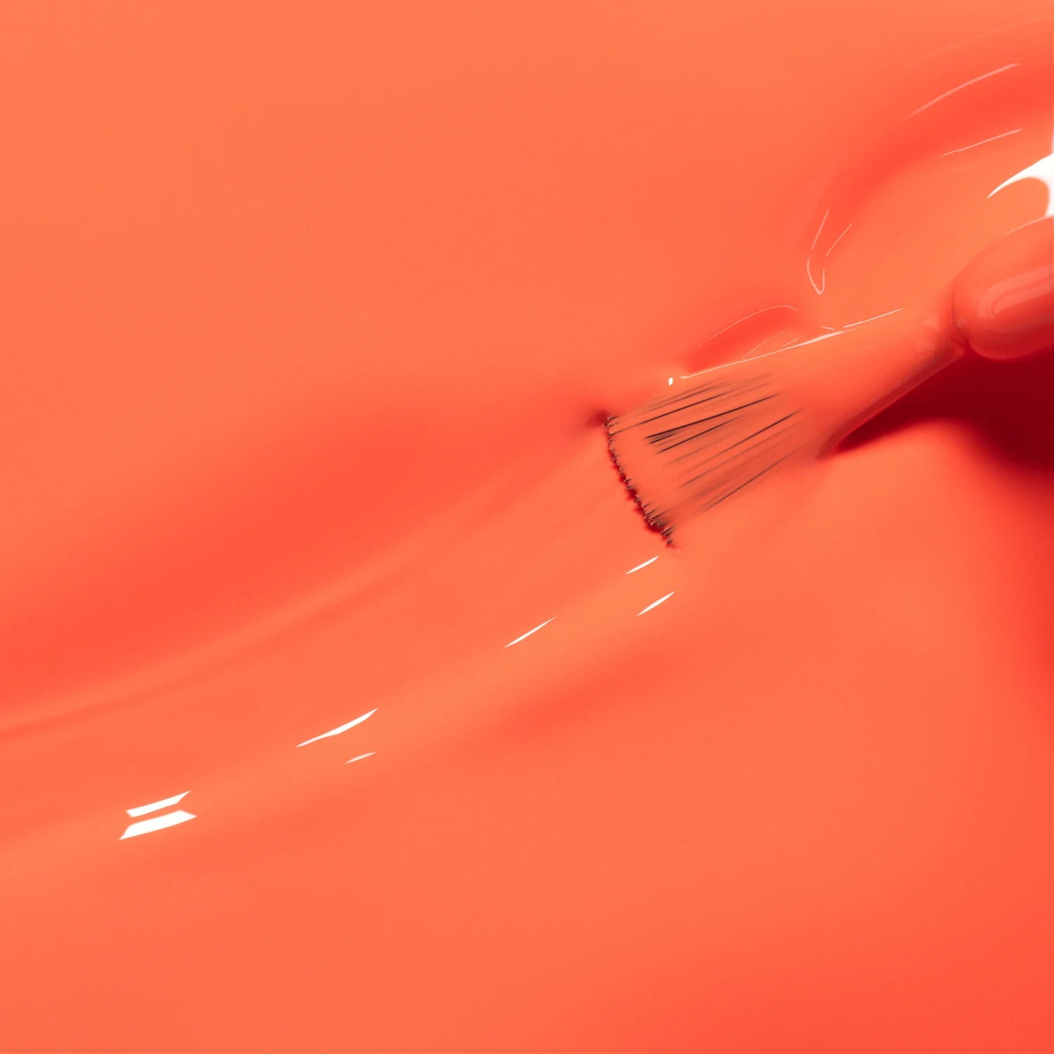 Barbotine - Living Beauty