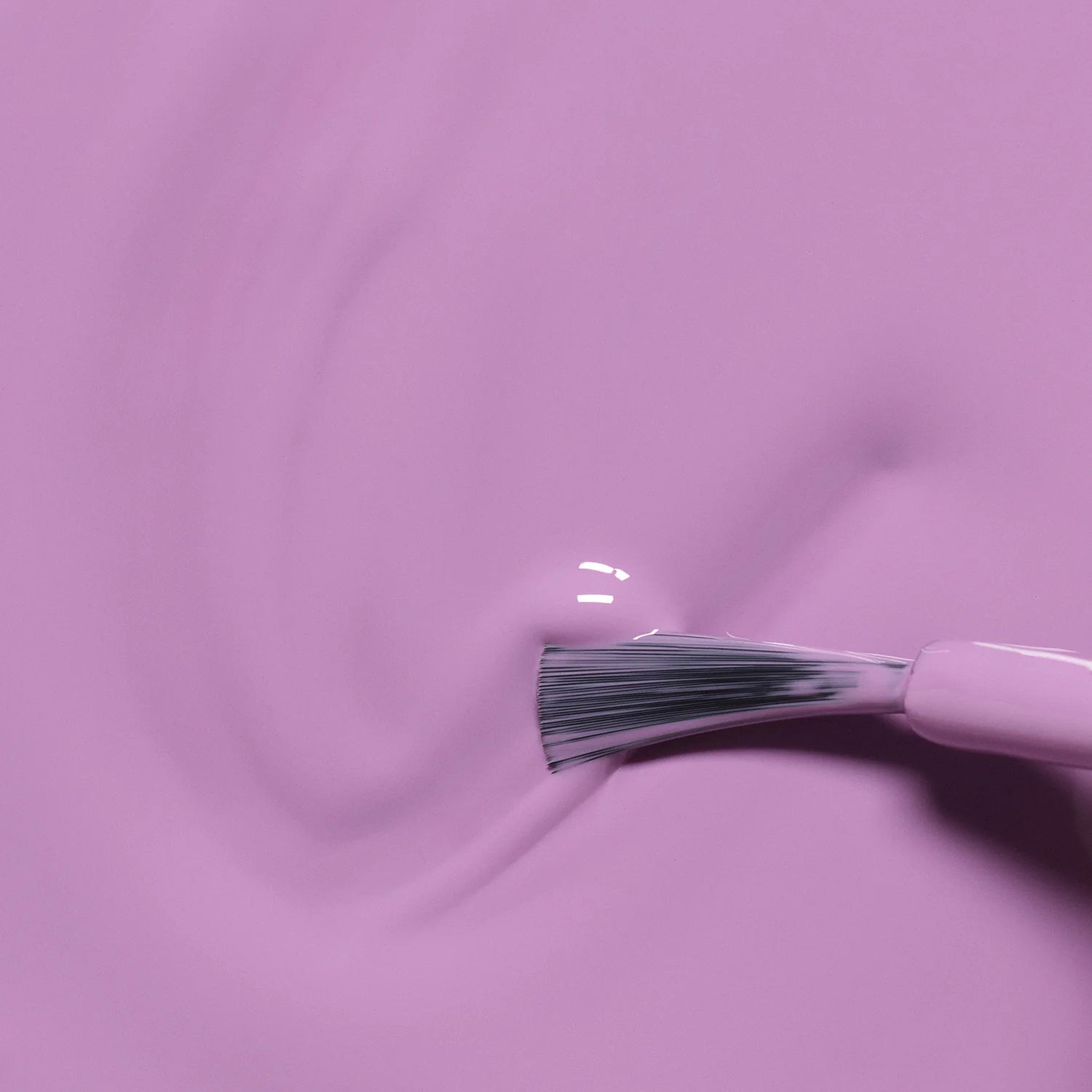 Kids - Lily the Unicorn - Living Beauty