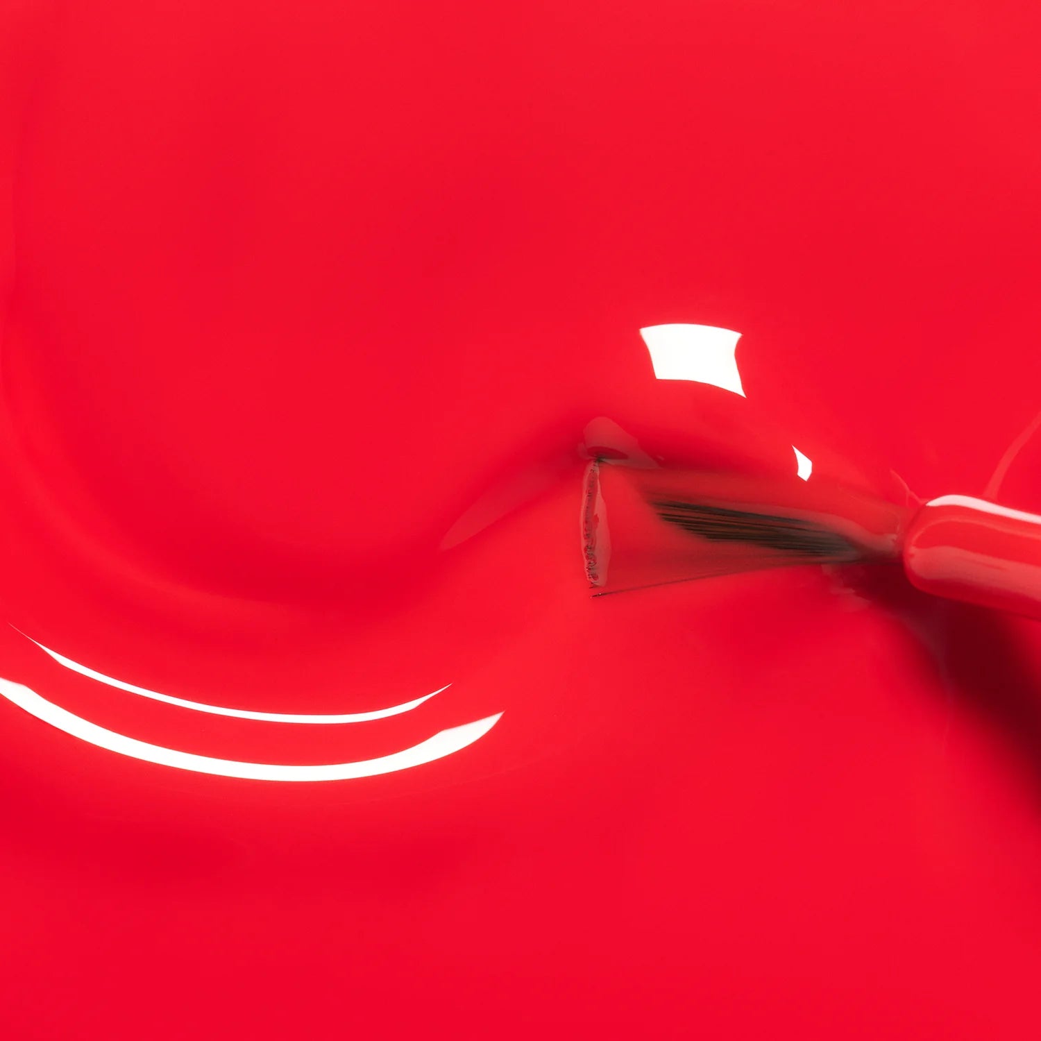 Kids - Lucette the Warbler - Living Beauty