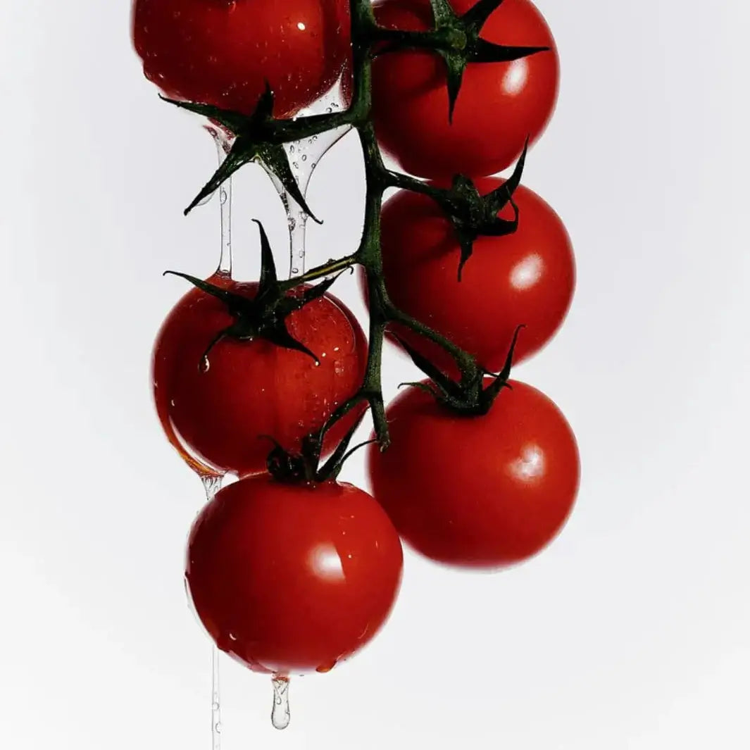 Flamingo Estate Heirloom Tomato Hand Soap