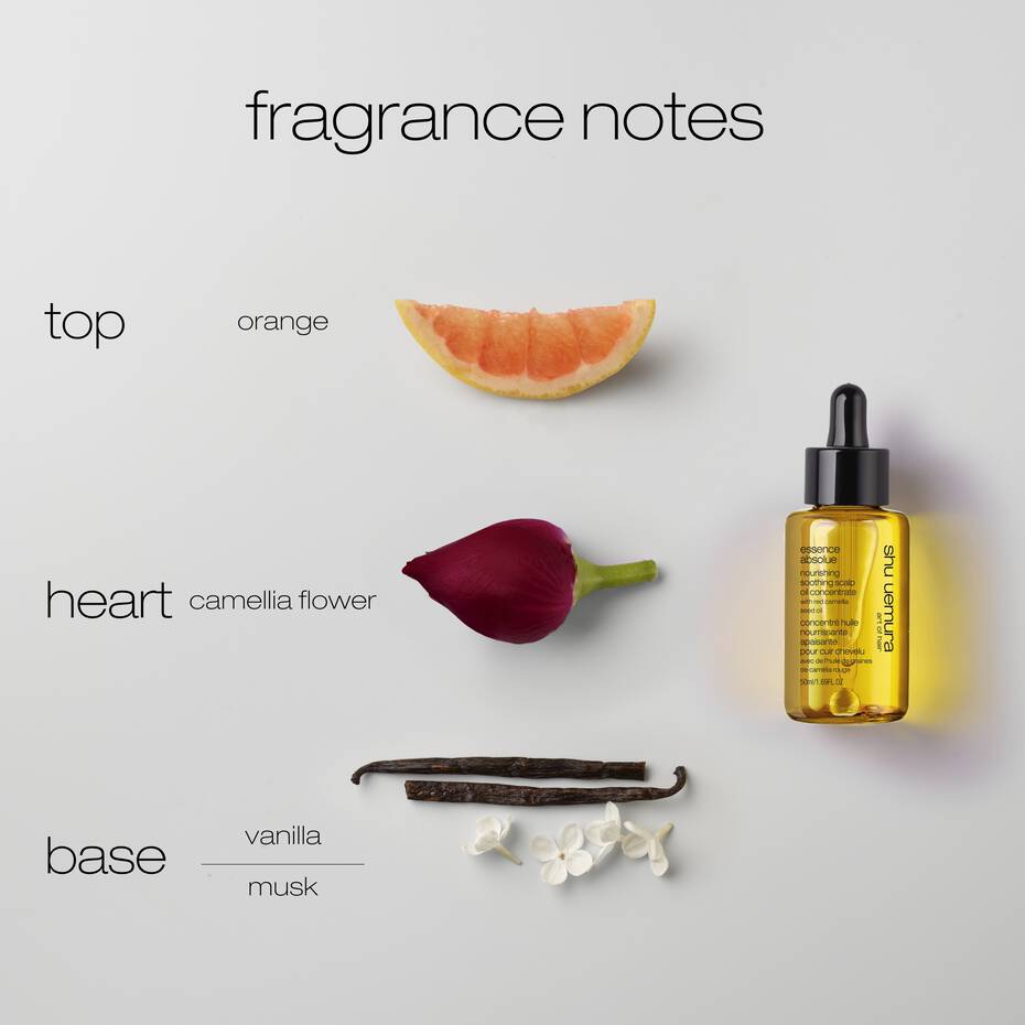 Essence Absolue Pre-Shampoo & Nourishing Treatment Scalp Oil - Living Beauty